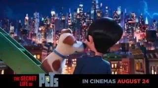 Get your tickets now & discover #TheSecretLifeOfPets on AUG. 24