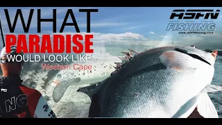 What fishing in paradise would be like... | Western Cape | ASFN Rock & Surf