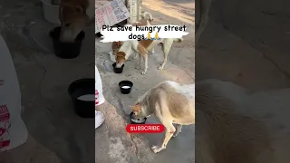 Please save hungry street dogs 🙏🙏🥹//sarumani official//#shorts #viral #trending #ytshorts