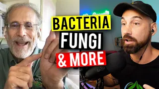 Soil Science: Plant Microbe Interactions! (Garden Talk #85)