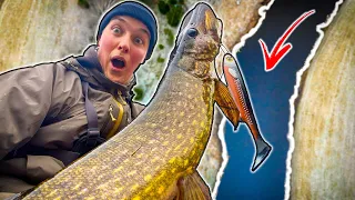 EXPLORING Pike Fishing Winter Time In A Small River (Does It Hold Big Fish?!) | Team Galant