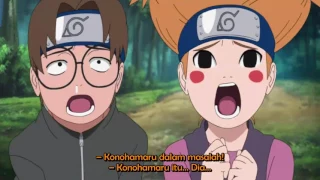 Naruto Shippuden Episode 234 Bahasa Indonesia