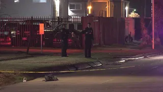 HPD: Trail of blood leads police to scene where man shot to death in SW Houston
