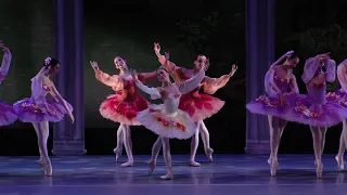 Naina’s Magical Garden | Bayer Ballet Vaganova Center of Excellence