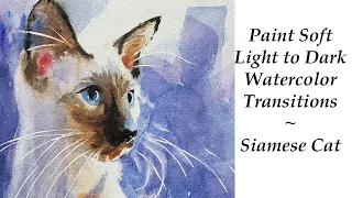 Siamese Cat Watercolor Painting - My Techniques + Art Mistakes and Why They're Important