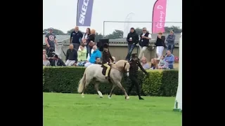 Thistledown Funfair & Friars All Gold Open and  LR   at GYS 2018