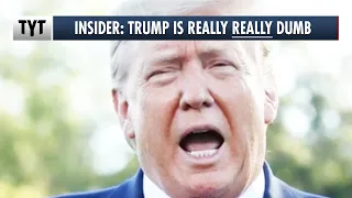 Republican Insider: You Can't Underestimate How Dumb Trump Is