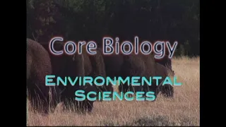 Core Biology: Environmental Sciences (Accessible Preview)