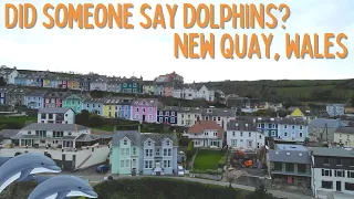 New Quay, Wales UK | CARDIGAN BAY, NEW QUAY (Staying in Nantgwynfaen) | Ep 69
