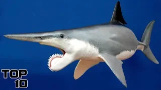 Top 10 Prehistoric Creatures Recently Discovered