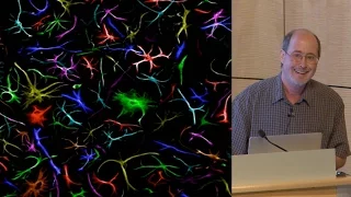 Ben Barres (Stanford) 1: What do reactive astrocytes do?