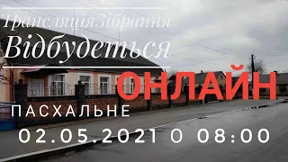 Трансляція Ранкового Служіння Пасхальне 02.05.2021 с.Здовбиця