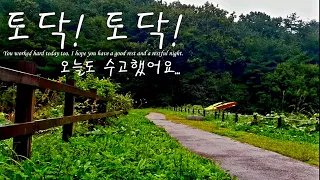 RAIN SOUND, 토닥!토닥! 빗소리 마져 날 위로해주는 오늘 밤