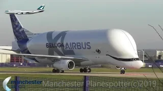 (HD) Beluga XL F-WBXL UK Inaugural Flight On AIB13XL At Chester Airport On 14/02/2019