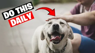 10 Scientific Ways To Make Your Dog Very Happy