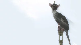 Лучшие моменты с JesusAVGN: THE LAST GUARDIAN #3