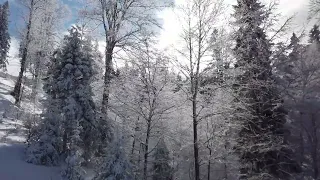 Música instrumental en la nieve