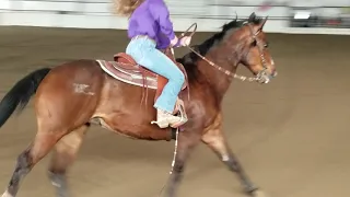 13yo Gelding Reining horse for sale(reining pattern 1 handed)