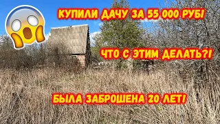 КУПИЛИ ЗАБРОШЕННУЮ ДАЧУ ЗА 55 000 РУБ!!!