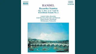 Recorder Sonata in D Minor, HWV 367a*: I. A tempo di Menuetto