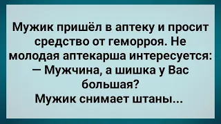 Мужик в Аптеке Показал Свою Шишку! Сборник Свежих Анекдотов! Юмор!