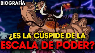 ONE PIECE: Biografias completa del YONKOU KAIDO DE LAS BESTIAS