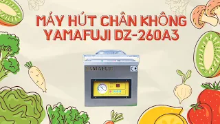 Hải Minh Giao Máy Hút Chân Không Yamafuji DZ-260A3