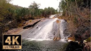 Beautiful Waterfall in the Mountain Forest - 4K Virtual Hike in Nature, No Music, Galicia UHD