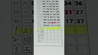 【 金組長539】5月1日｜孤支、尾數｜今彩539｜539開獎｜539版路