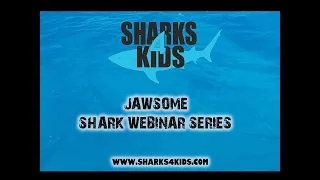 Tail of Two Sharks with Dr. Jodie Rummer