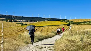 WIP Storie in Cammino - Cammino di Santiago - francese - 2016 - TRAILER