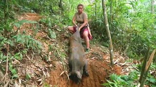 FULL VIDEO: Wild boar attack, girl .skills in trapping wild boar Survival. Alone, survival instinct
