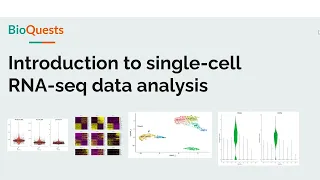 Analysis of single cell RNA-seq data - Video series