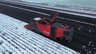 snow sneeuw Dewulf Aardappelrooier Kwatro De Wulf Quatro (MD) Veenhuizen Onstwedde oost Groningen