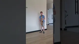 Stevie Wonder - I Just Called To Say I Love You (Saxophone Cover by Jacob Music Sax)