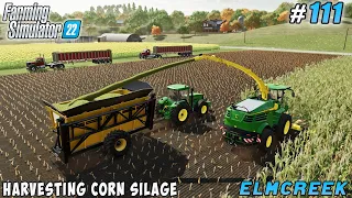 Harvesting corn silage for sale | Elmcreek Farm | Farming simulator 22 | Timelapse #111