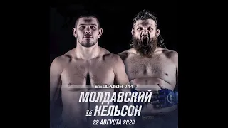 Валентин Молдавский против Роя Нельсона БОЙ В UFC 3/ BELLATOR 244