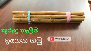 තාක්ෂණිකව හරියට කුරුඳු තලමු. [Cinnamon Processing]