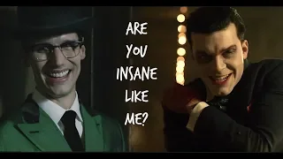 Edward & Jeremiah | Are You insane Like me? | Gotham