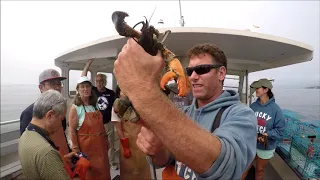 Lucky Catch Lobster Cruise in Portland, Maine