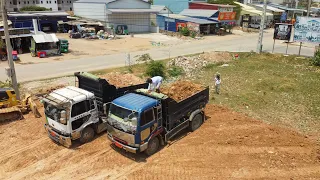 Update Project! Bulldozer D31Px KOMATSU Push Fill the soil And Small Dump Trucks Land transport
