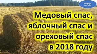 Медовый спас, яблочный спас и ореховый спас в 2018 году