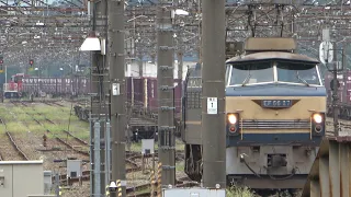 2021/08/29 JR Freight: Cargo Train by EF66 27 at Shin-Akitsu, Niiza Kamotsu & Fuchu-Hommachi