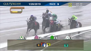 Gulfstream Park January 26, 2019 Race 9