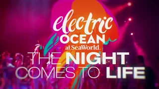 Electric Ocean | SeaWorld Orlando