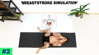 Breaststroke simulation workout - Episode 2 - Dryland for swimmers
