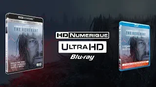 The Revenant : Comparatif 4K Ultra HD vs Blu-ray