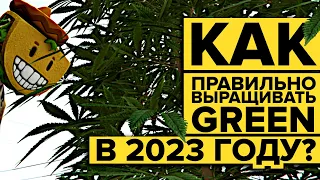 КАК ПРАВИЛЬНО ВЫРАЩИВАТЬ НАРКОТУ В 2023 ГОДУ НА MAJESTIC RP