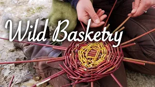 Wild Basketry with Gaia Hive folk herbalism mentorship