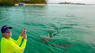 SHARK ISLAND!!! Exploring Cat Island, Bahamas. Day 2